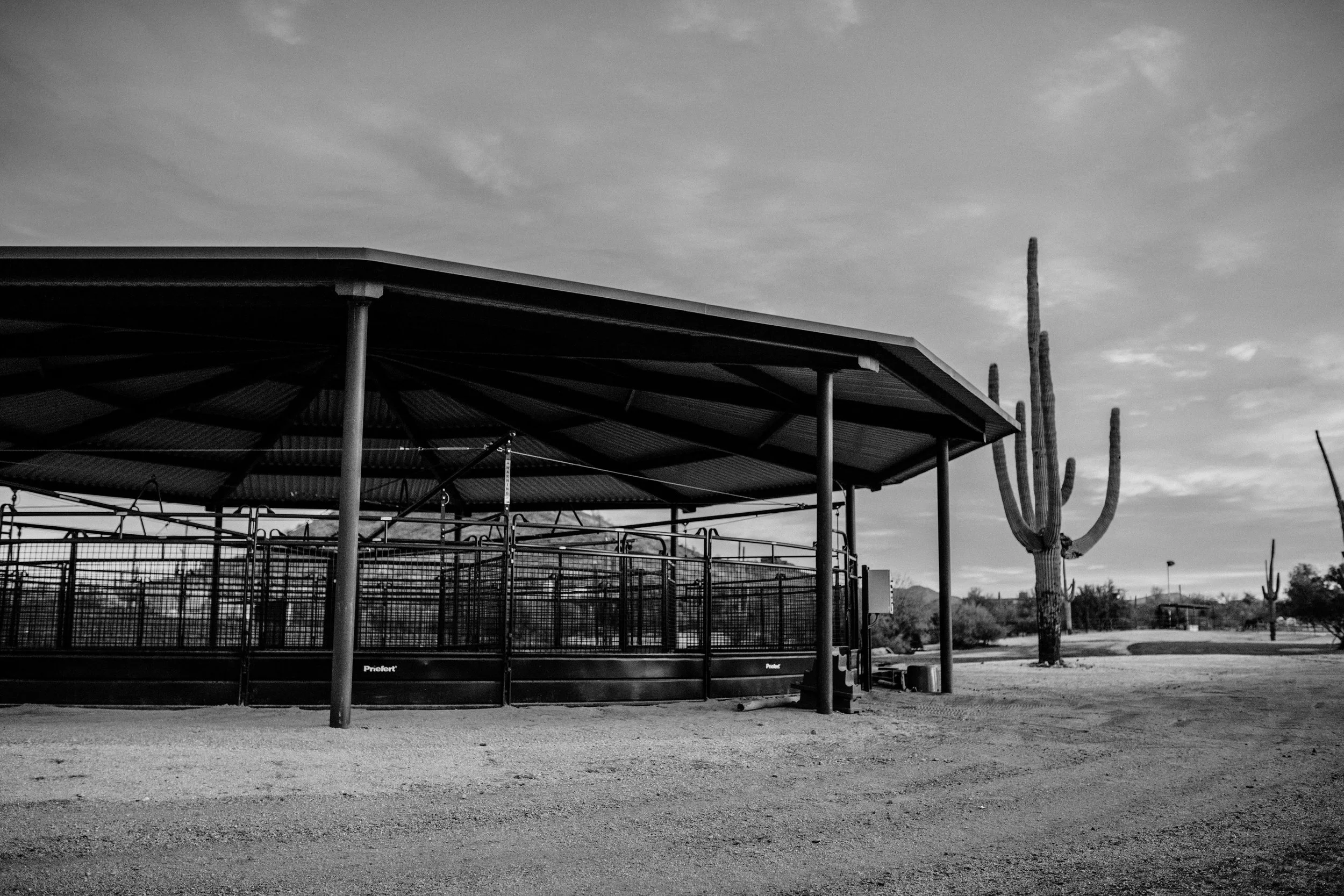 The Priefert Free Walker at Equine Sports Medicine Rehab Center in Whitesboro, Texas, provides safe, low-impact exercise to improve equine rehabilitation, conditioning, and performance.