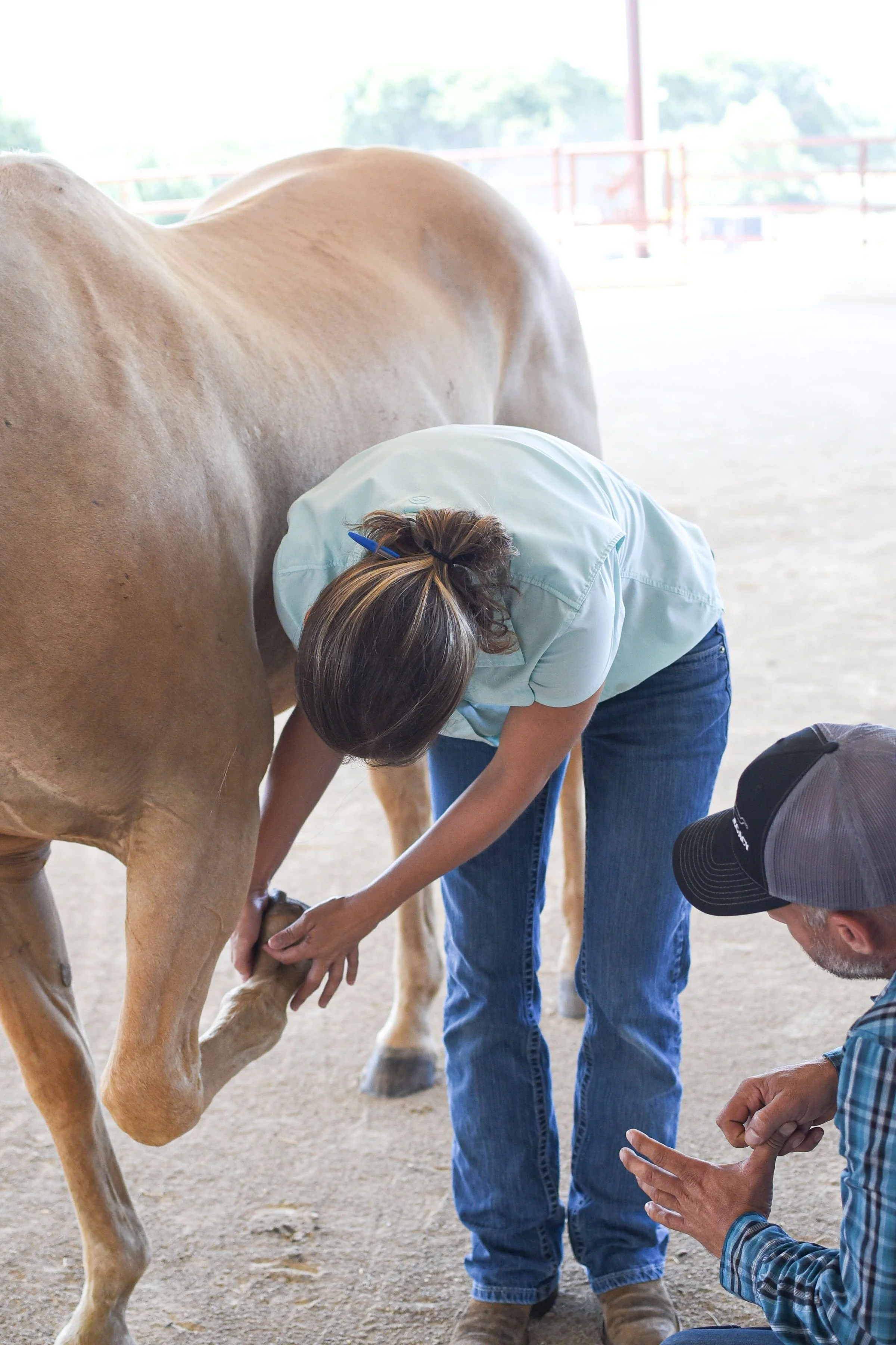 Equine Performance Veterinairan, Equine Sports Medicine, Dr. Cameron Stoudt-Donnell, Lameness Exam, Pilot Point, Texas