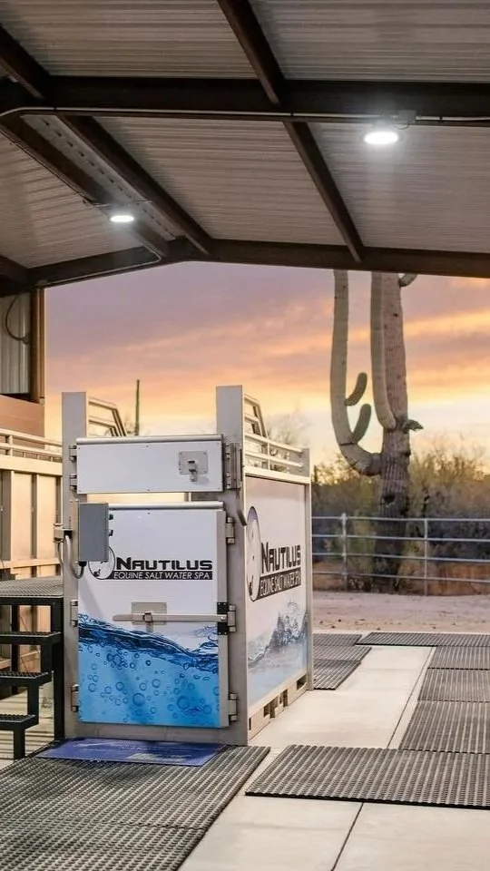 Nautilus cold saltwater spa therapy at Equine Sports Medicine rehabilitation center in Scottsdale, Arizona used for performance horse recovery and inflammation reduction.