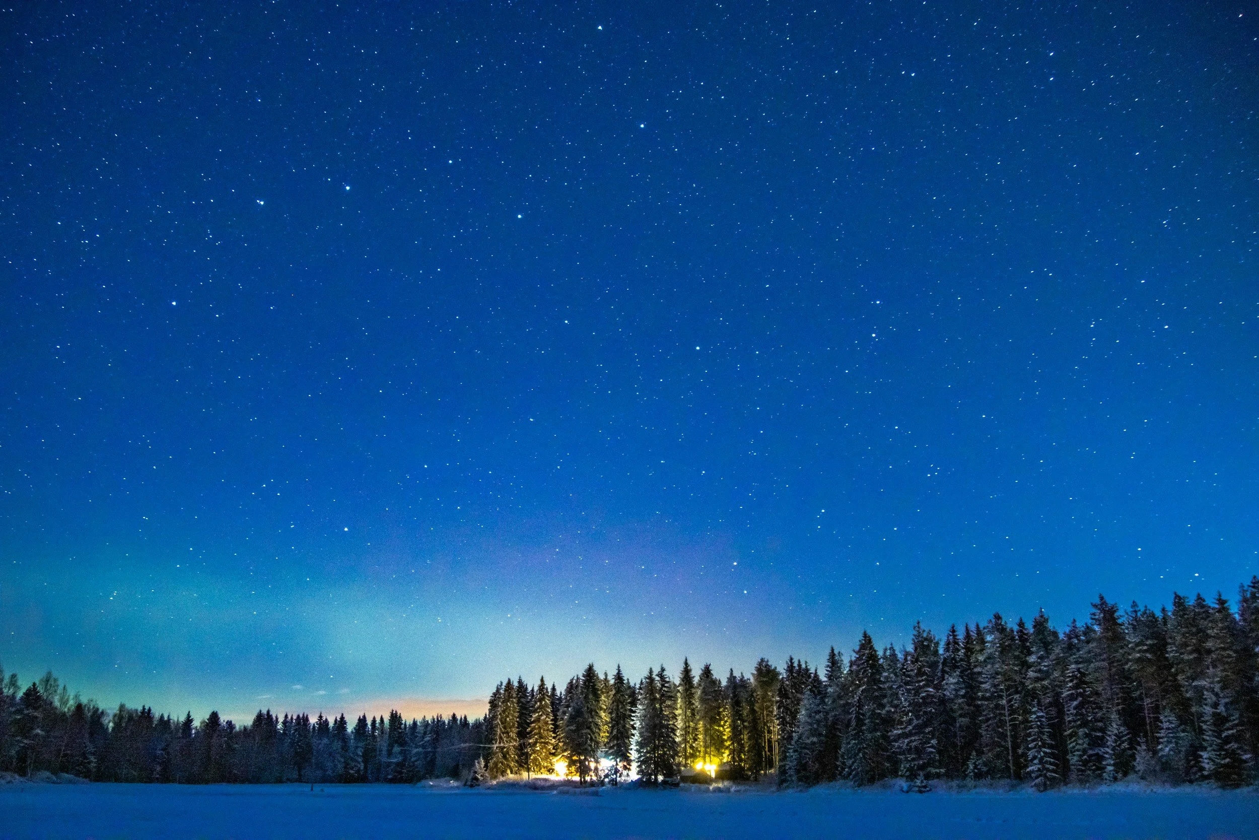 "Making it": reflections on (accidentally) landing a tenure-track job