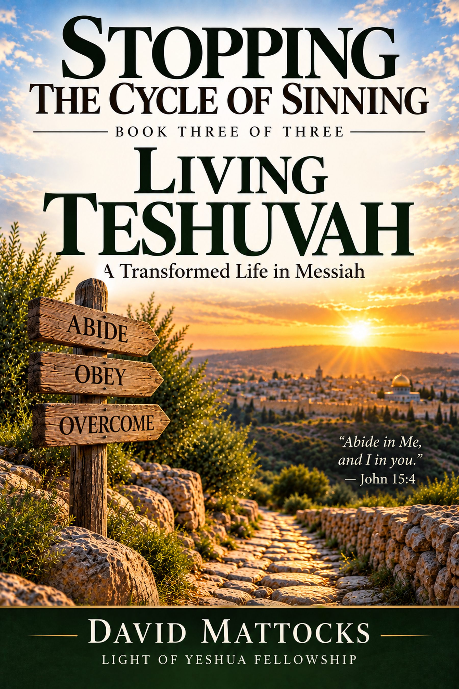 Book cover titled "Stopping the Cycle of Sinning" by David Mattocks. The subtitle reads "A Transformed Life in Messiah." The cover features a sun setting over a pathway lined with rocks and bushes, with a Jerusalem cityscape in the background. A wooden sign reads "Abide," "Obey," "Overcome." Quote from John 15:4 at the bottom right: "Abide in Me, and I in you."