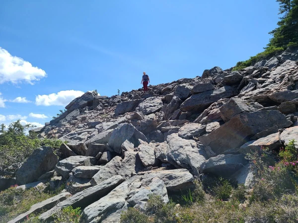 A hiker traverses a boulder pile near Obstruction Point