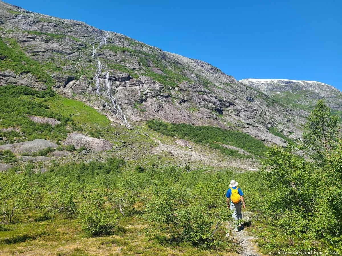 A hiker walks on a faint herd path through brush towards a waterfall on the Austerdalsbreen hike
