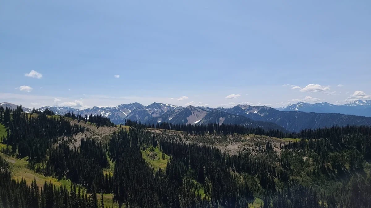A mountain view from Obstruction Point Road