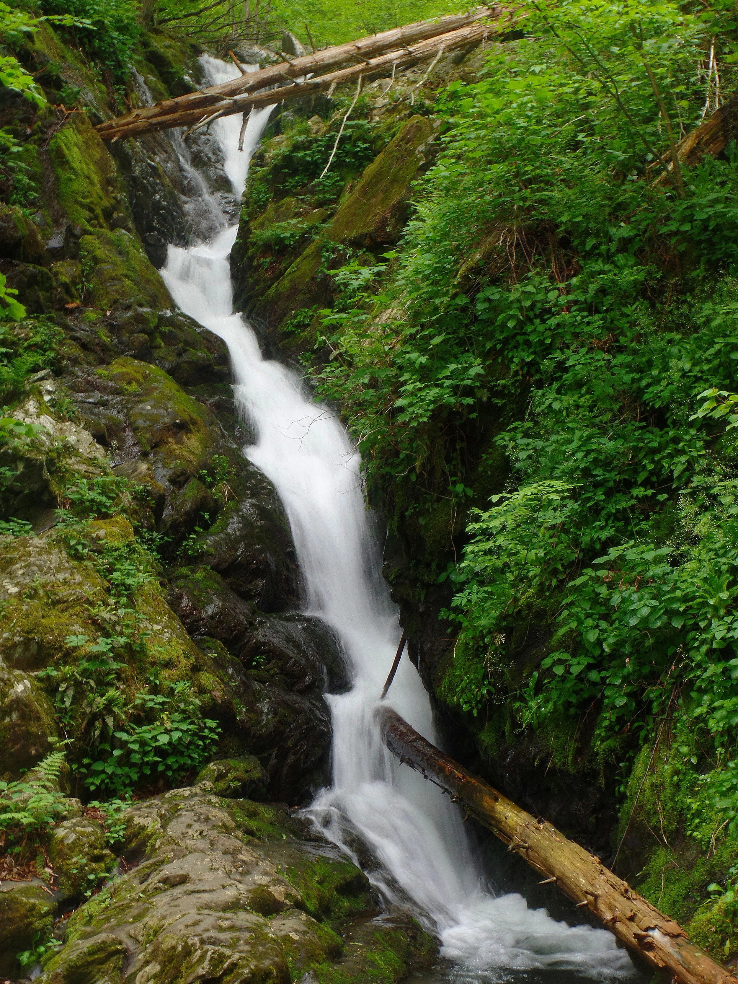 Dark Hollow Falls Trail Shenandoah