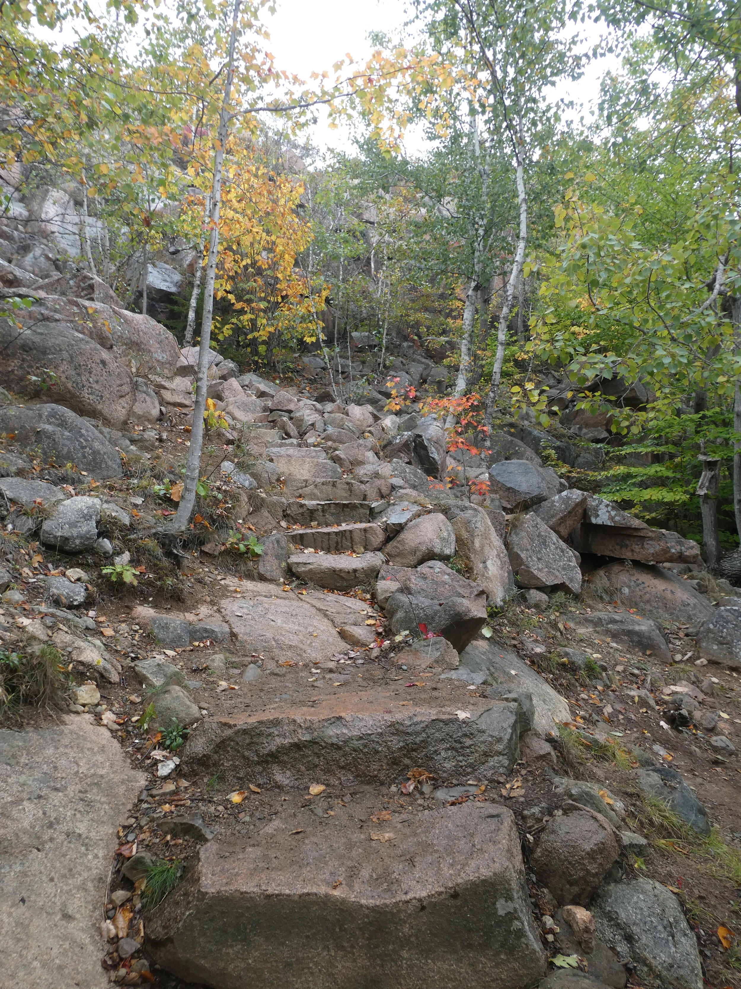 P1140469.JPG