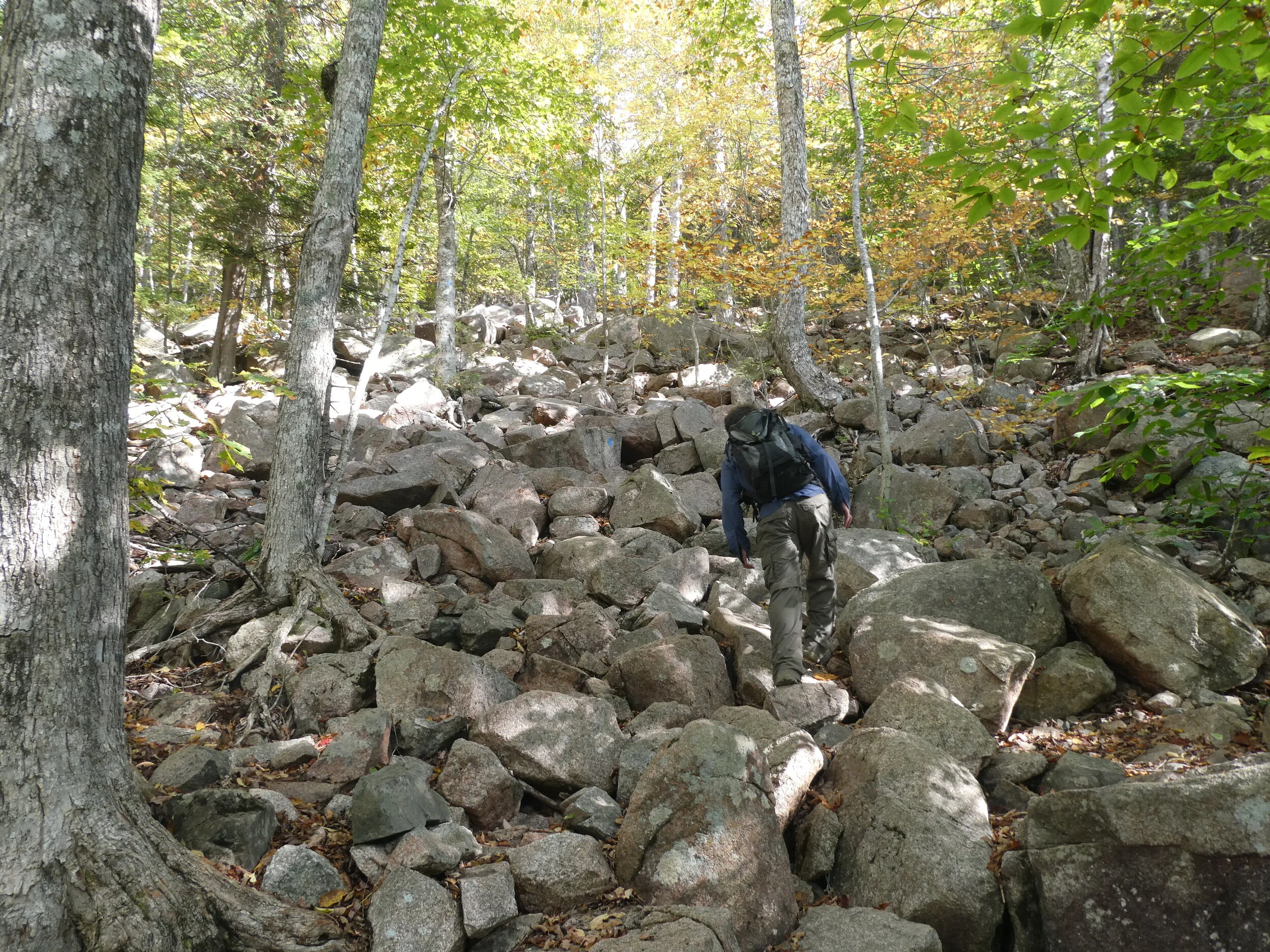 pemetic mountain north west trail acadia national park