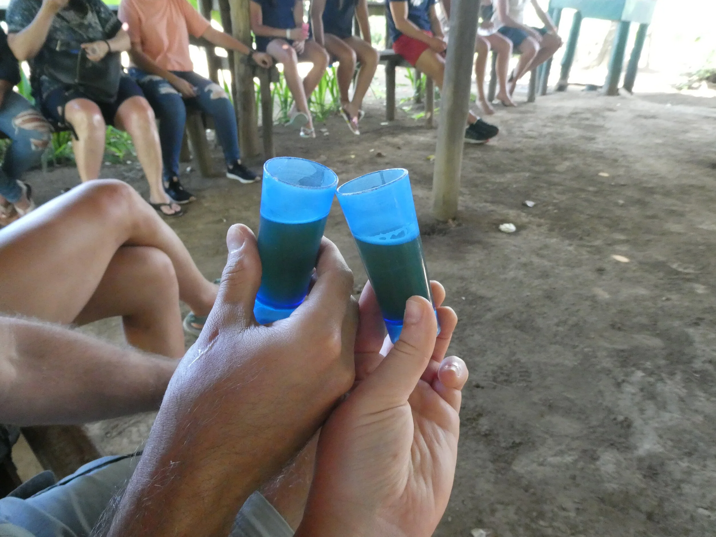 P1030411.JPG