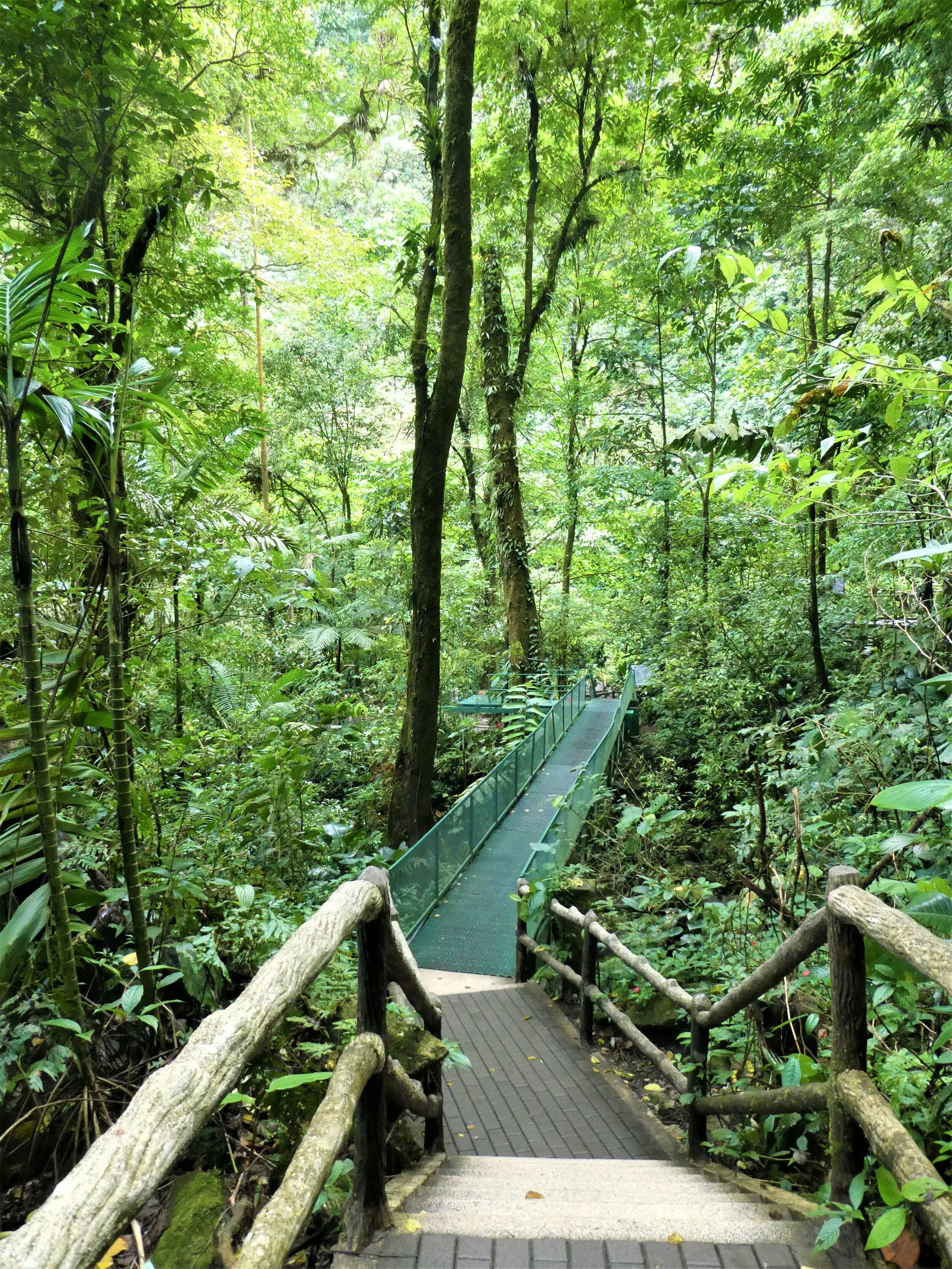 P1020587c.jpg