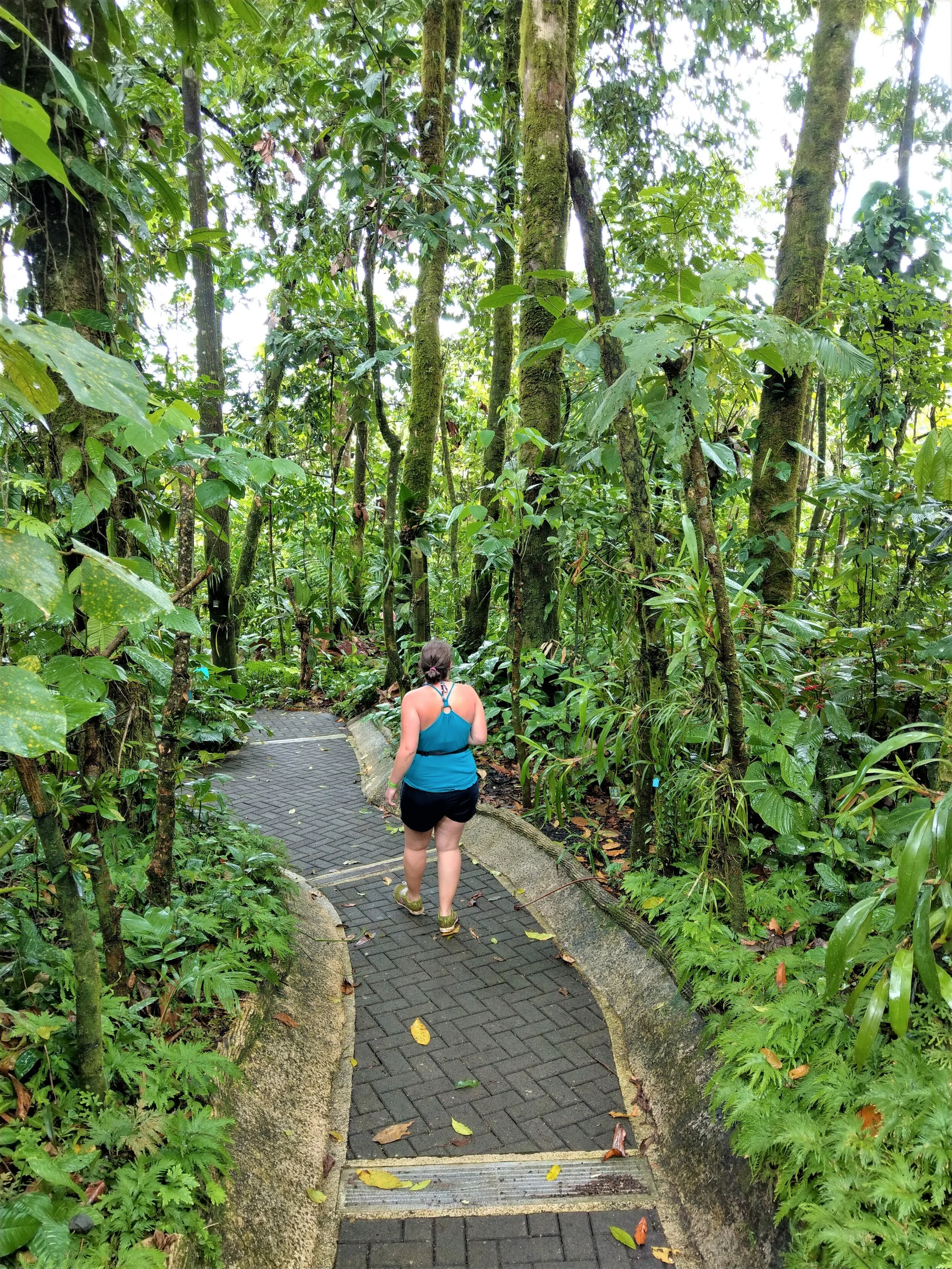 fortuna falls costa rica