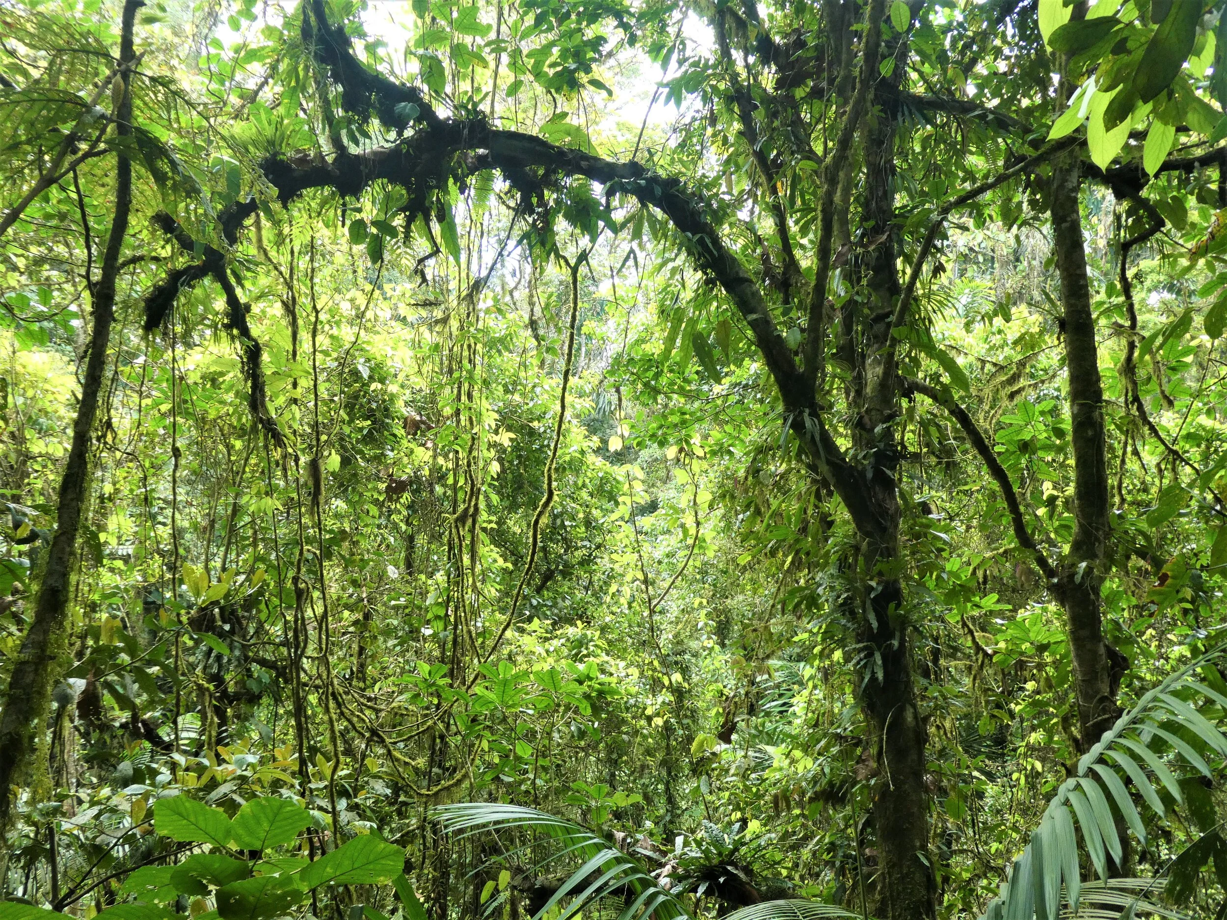 P1030183c.jpg