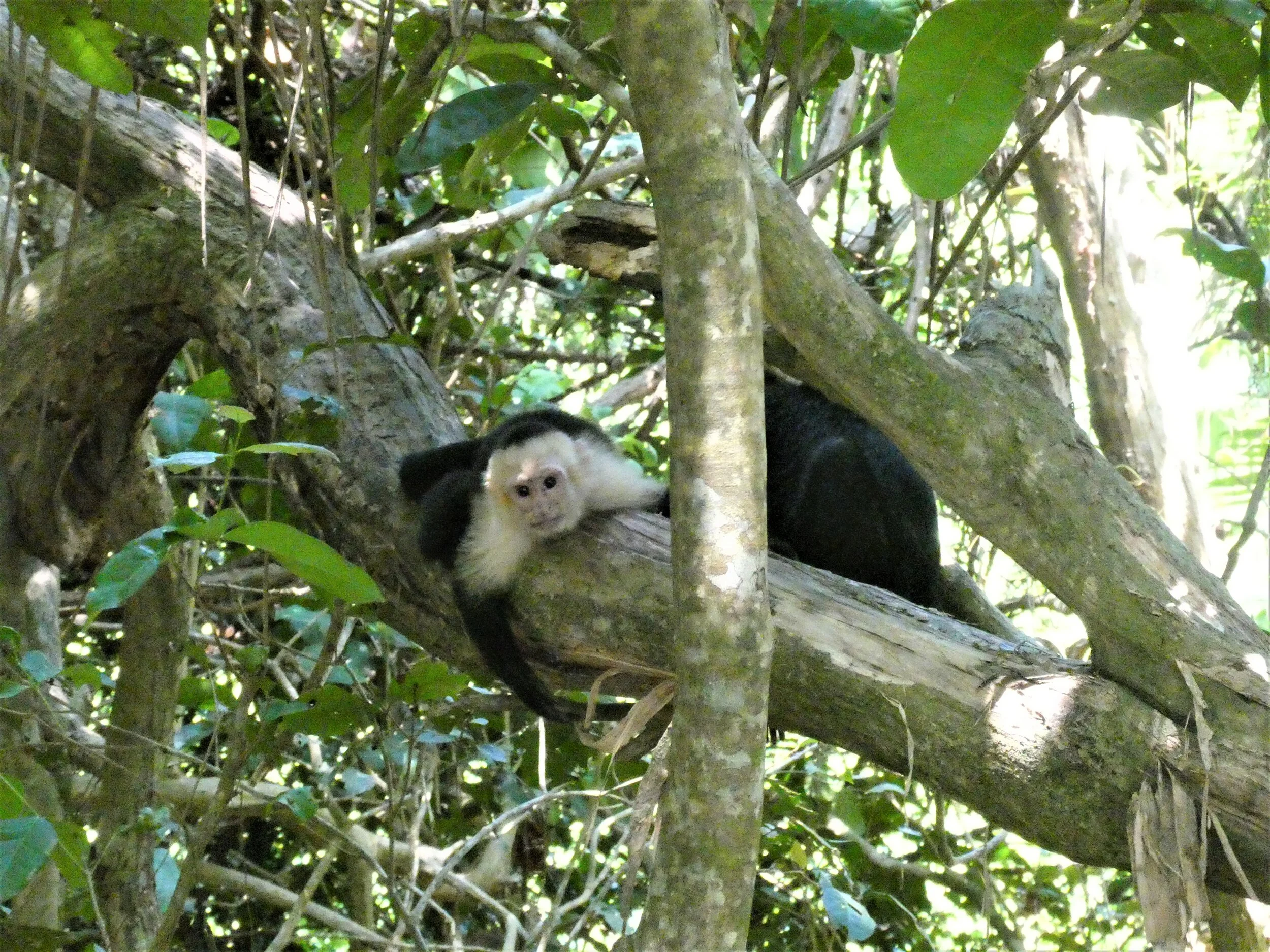 P1020074c.jpg