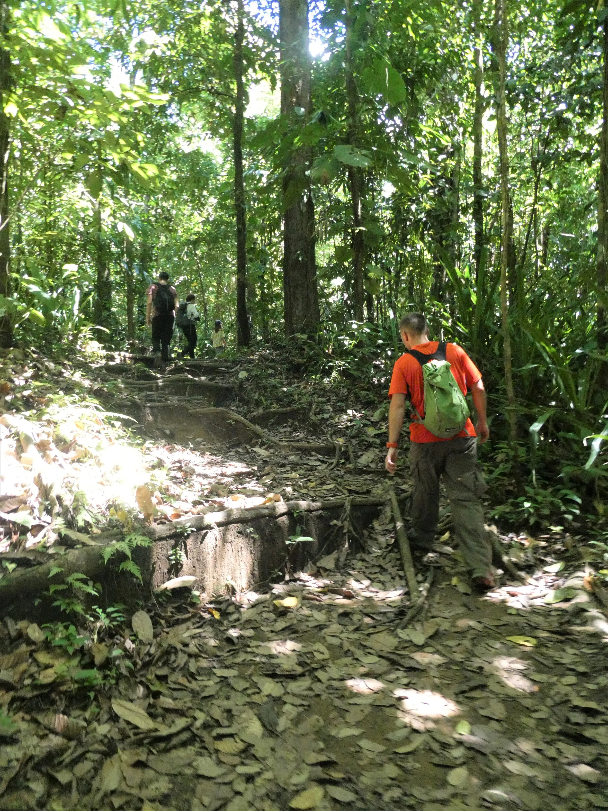 P1000616c.jpg