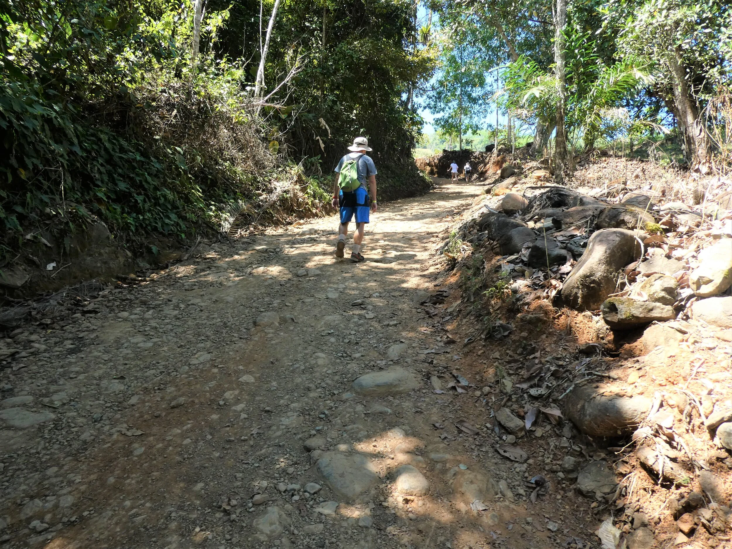 P1010394c.jpg