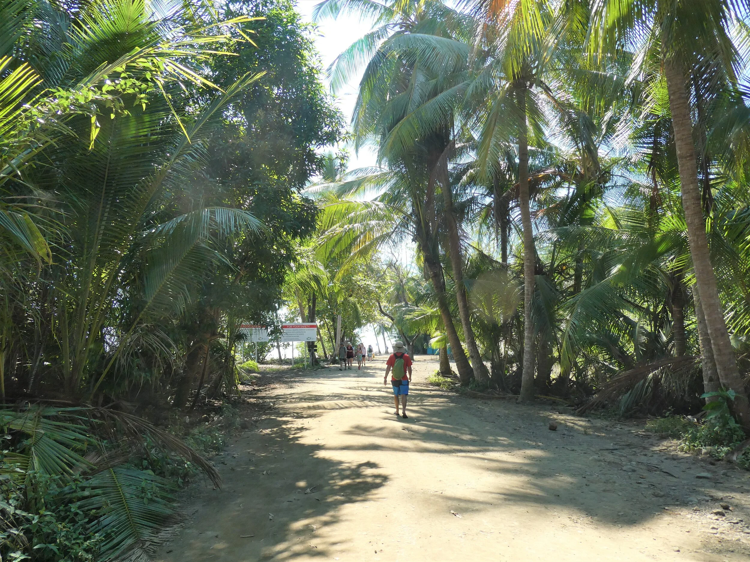 P1010050c.jpg