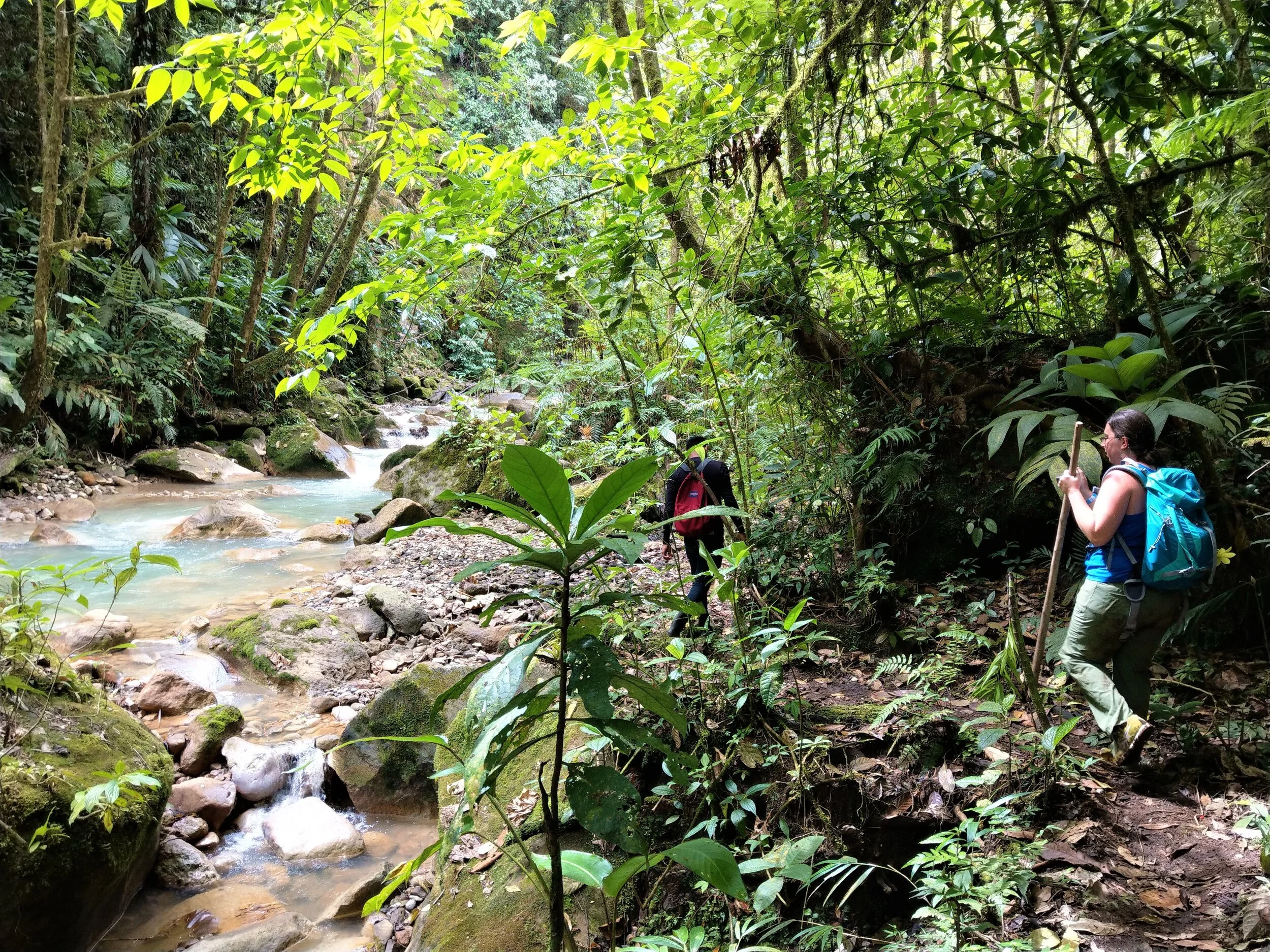 waterfalls of bajos del toro costa rica