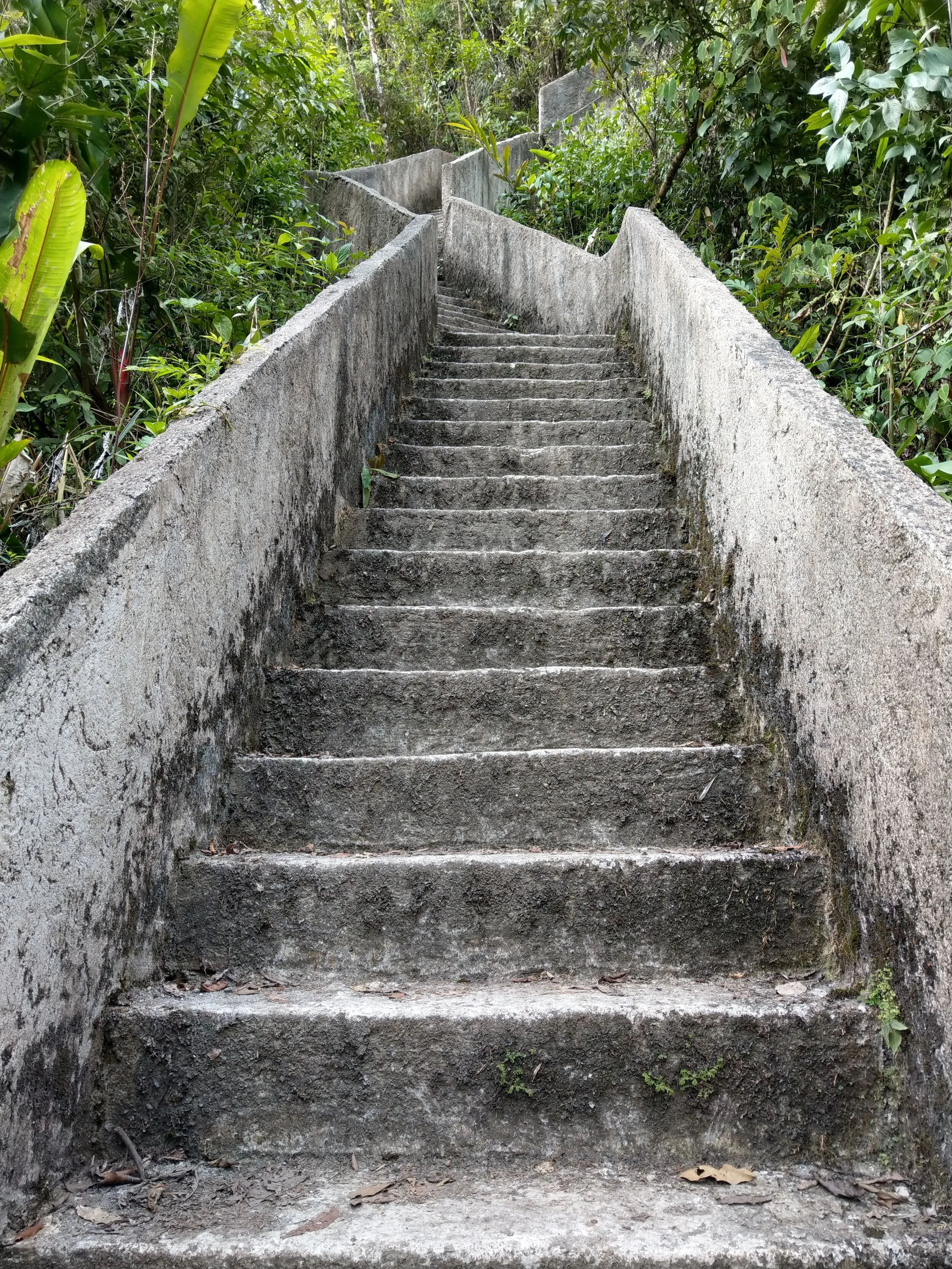 hiking to catarata del toro costa rica