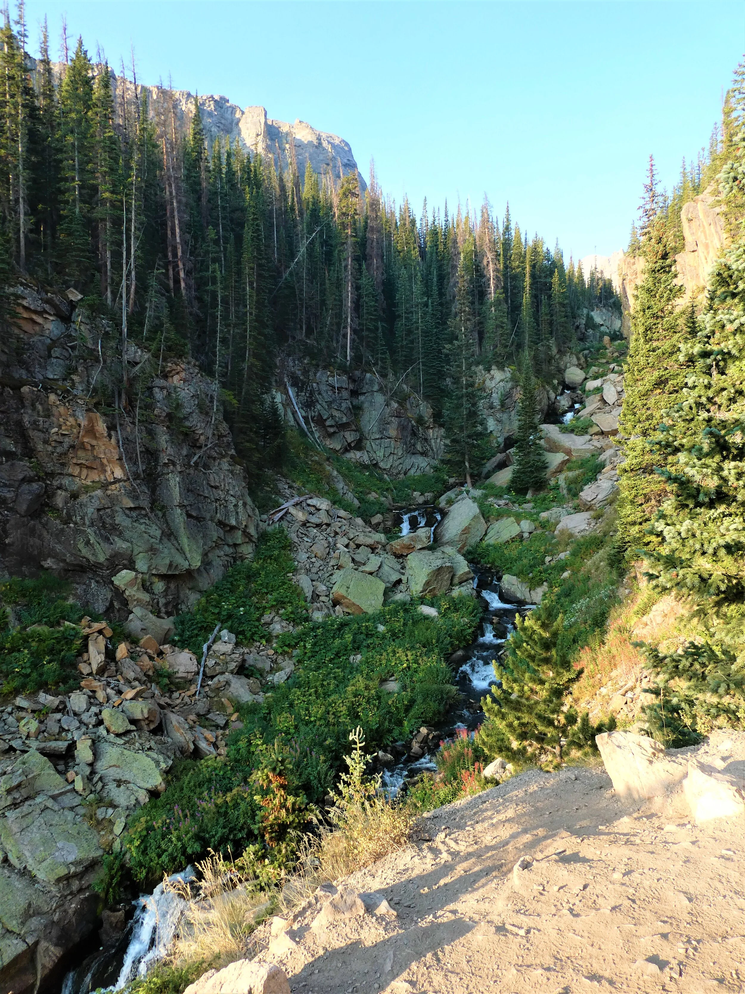 P1080193c.jpg