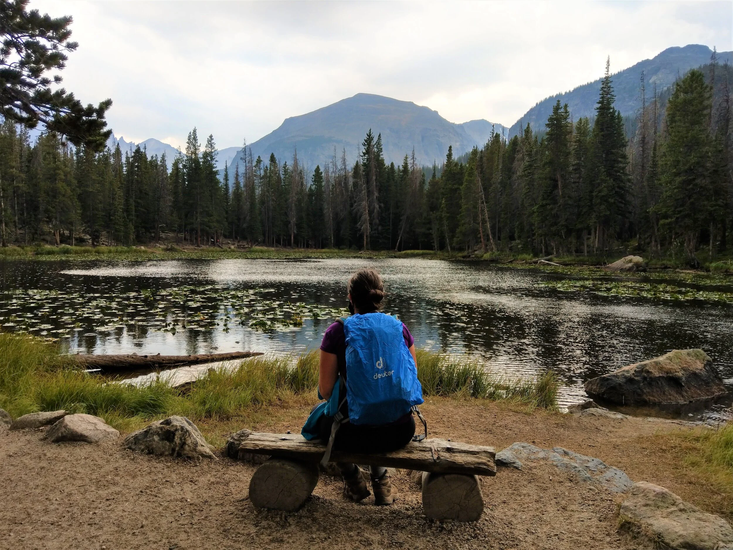 nymph lake rocky mountain national park