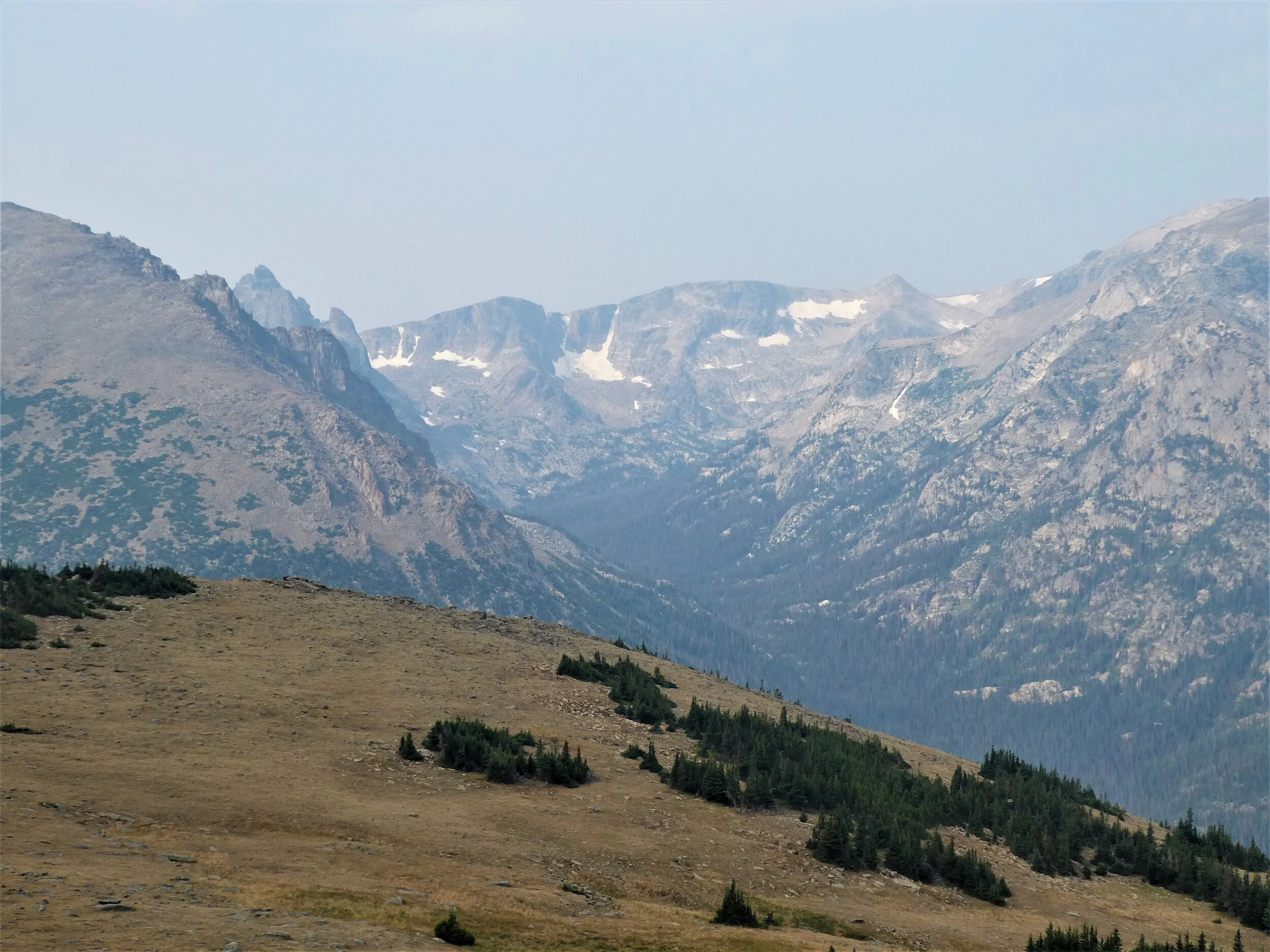 P1070832c.jpg