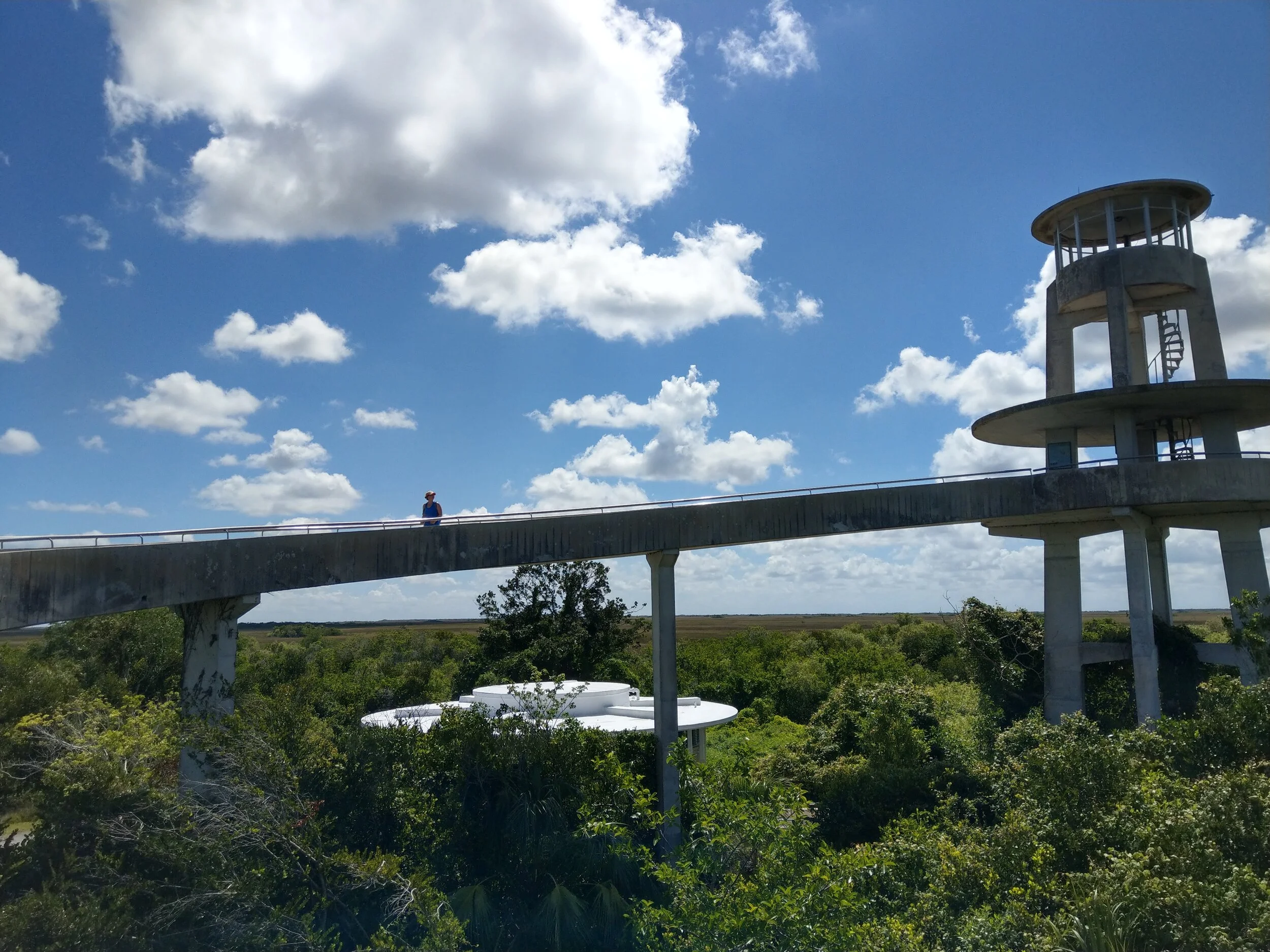 Shark Valley Tram Road Everglades