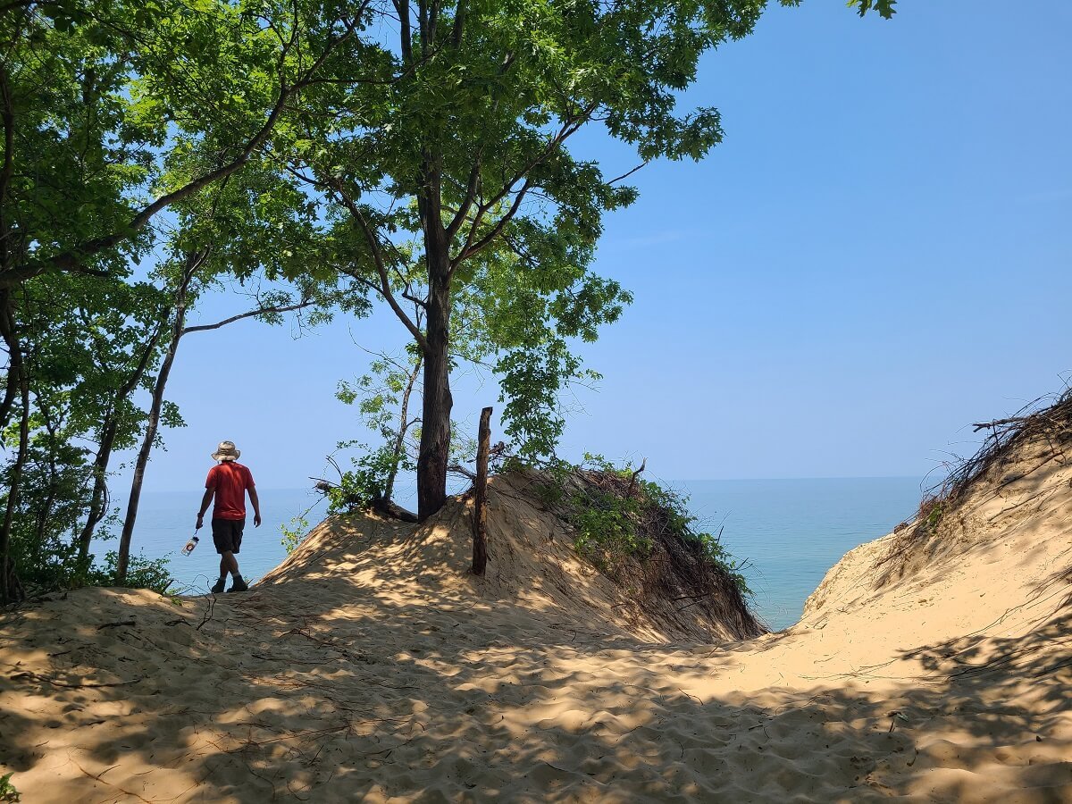 Campgrounds at Indiana Dunes National Park - Indiana Dunes National Park  (U.S. National Park Service)