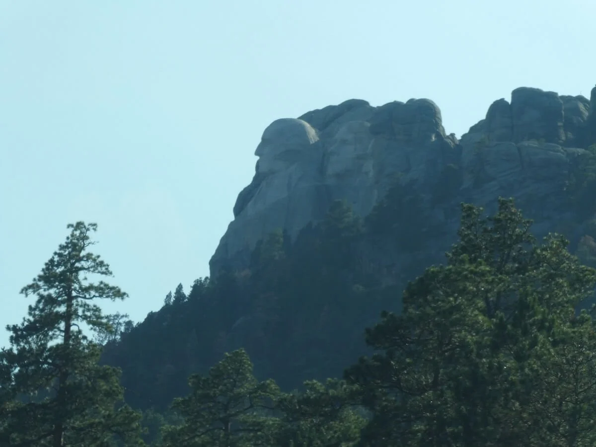 How to Drive the Peter Norbeck Scenic Byway in One Day: Best Stops, Tips, and More!