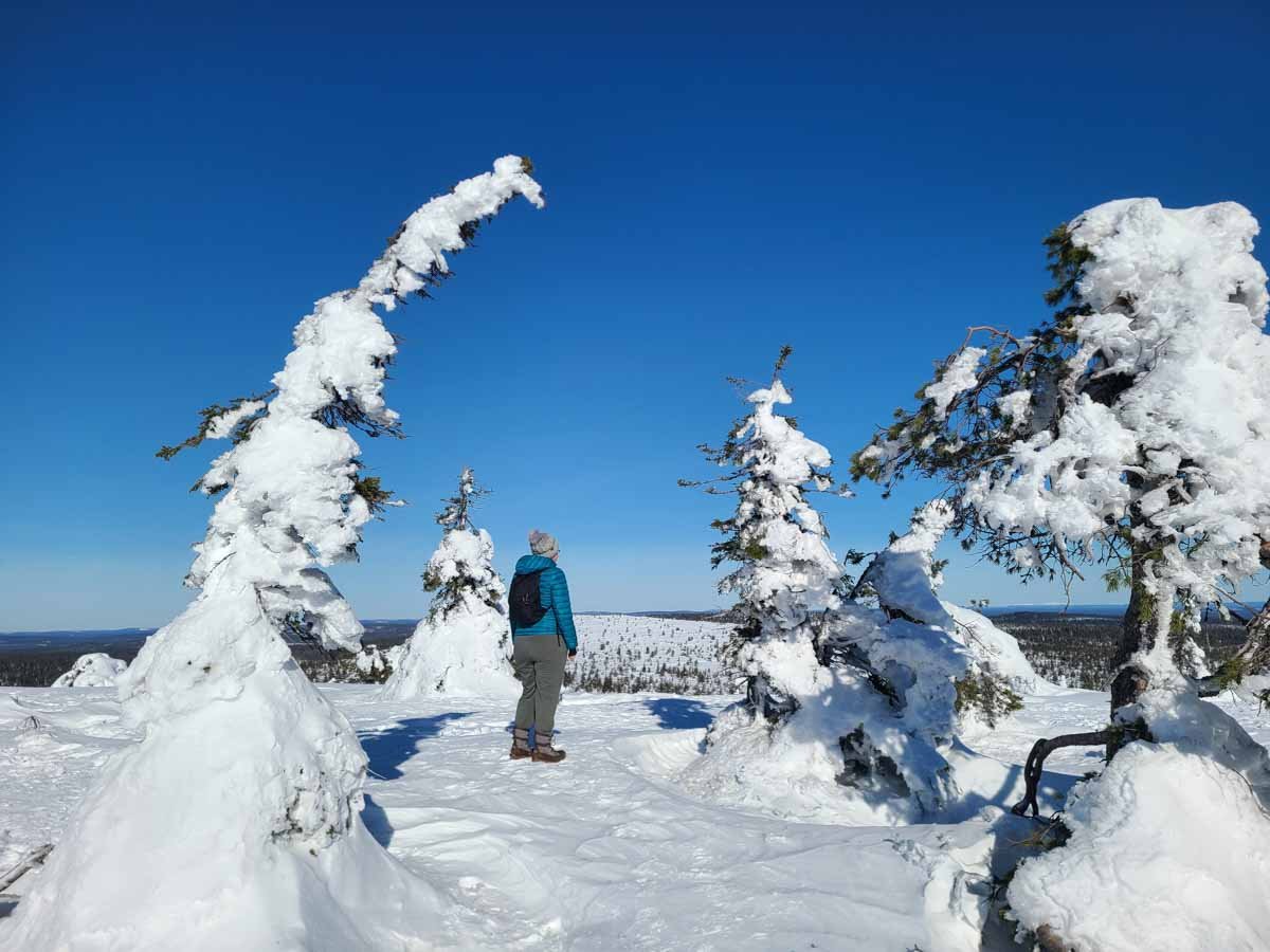 How to Visit Riisitunturi National Park (and see Finland’s Famous Snow-Covered Trees!)