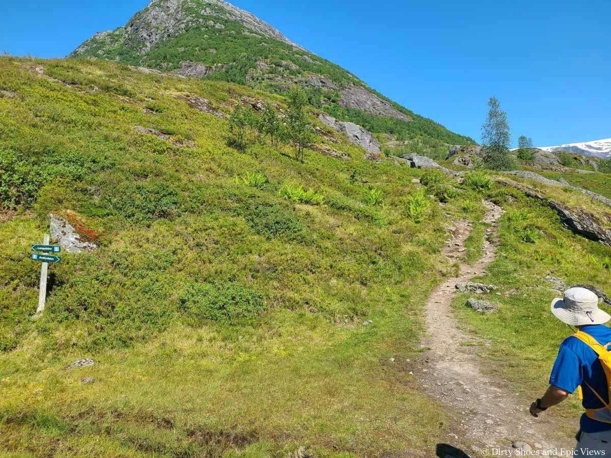 A hiker starts up a narrow dirt trail through a grassy meadow at the Austerdalsbreen trailhead