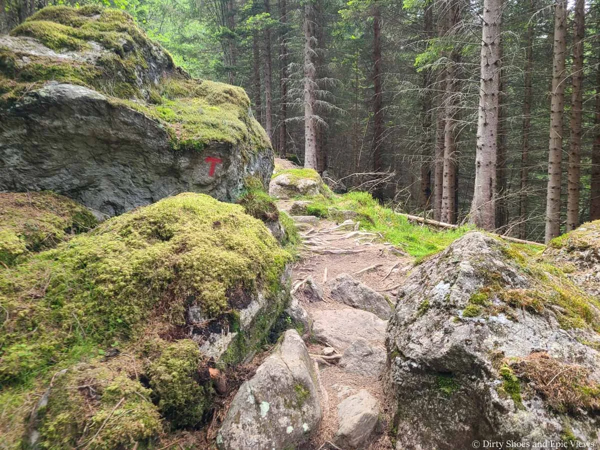 A red T marks a rock alongside the Reinanuten trail in Norway