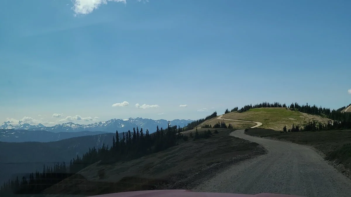 A dirt road winds through meadows on the way to Obstruction Point in Olympic National Park