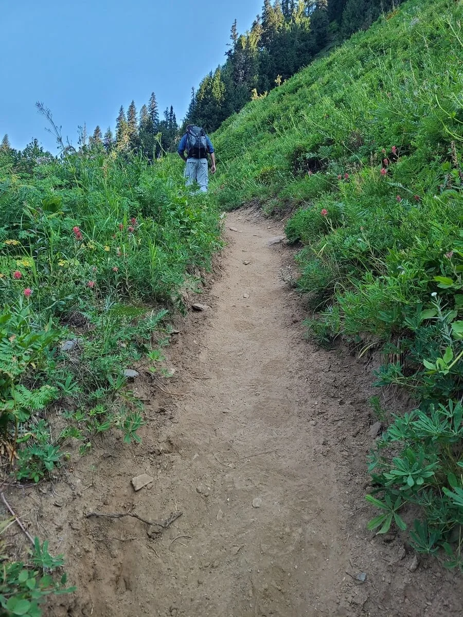 Hiker on a steep switchback to Hidden Lake Lookout in Washington
