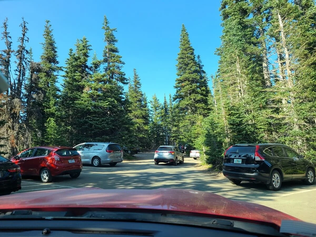 How to Visit Hurricane Ridge in Olympic National Park: The Complete ...