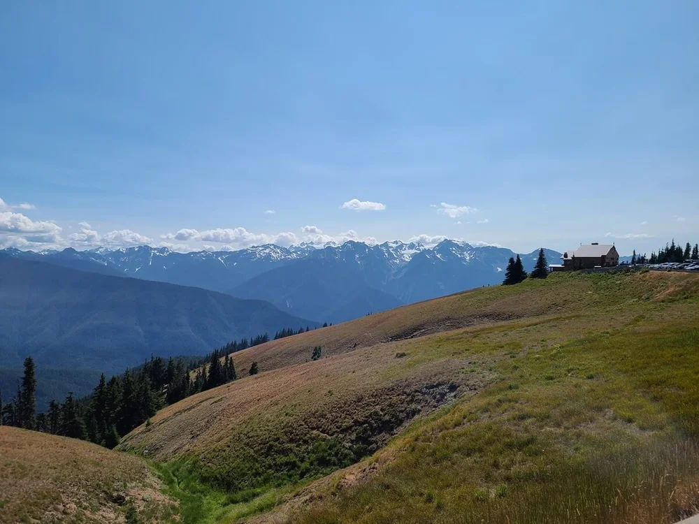 Hurrizan Ridge How to Visit Hurricane Ridge in Olympic National Park: The Complete ...