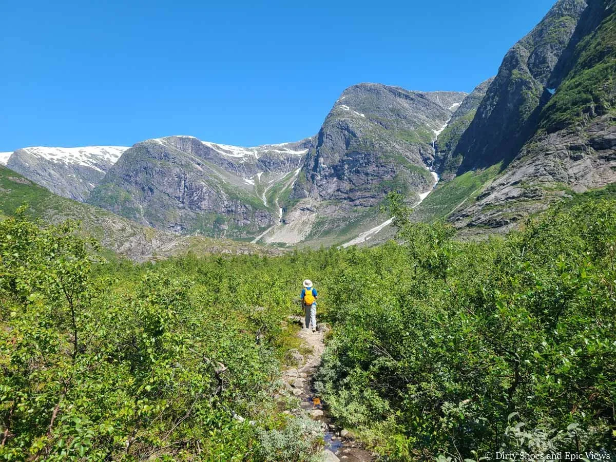 A hiker walks on a narrow herd path through brush towards mountain views on the Austerdalsbreen trail in Norway