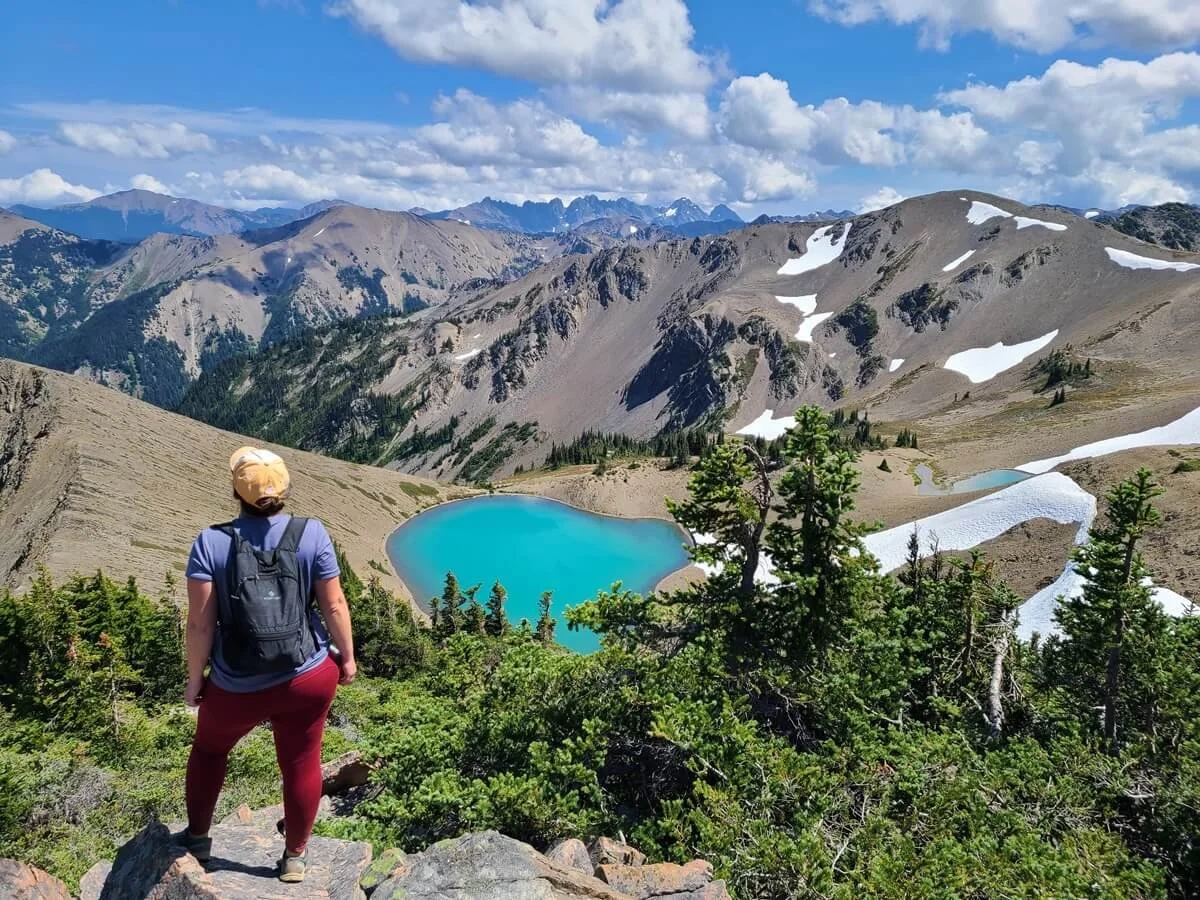 Obstruction point road olympic national park