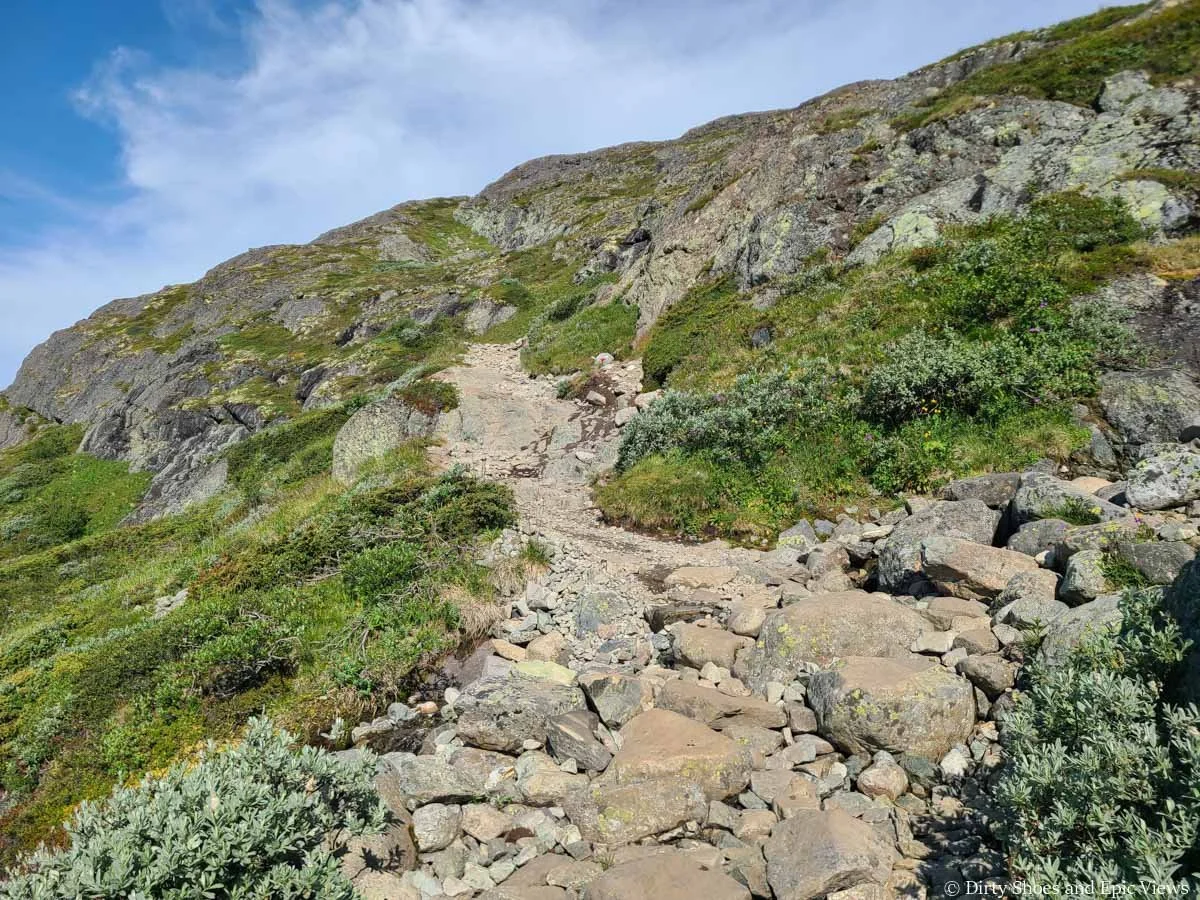 A rocky narrow trail climbs up a grassy rocky slope on the Besseggen Ridge trail in Norway