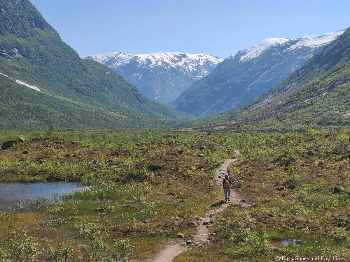 A hiker walks a narrow dirt path through a shrubby meadow towards mountain views on the Austerdalsbreen hike in Norway