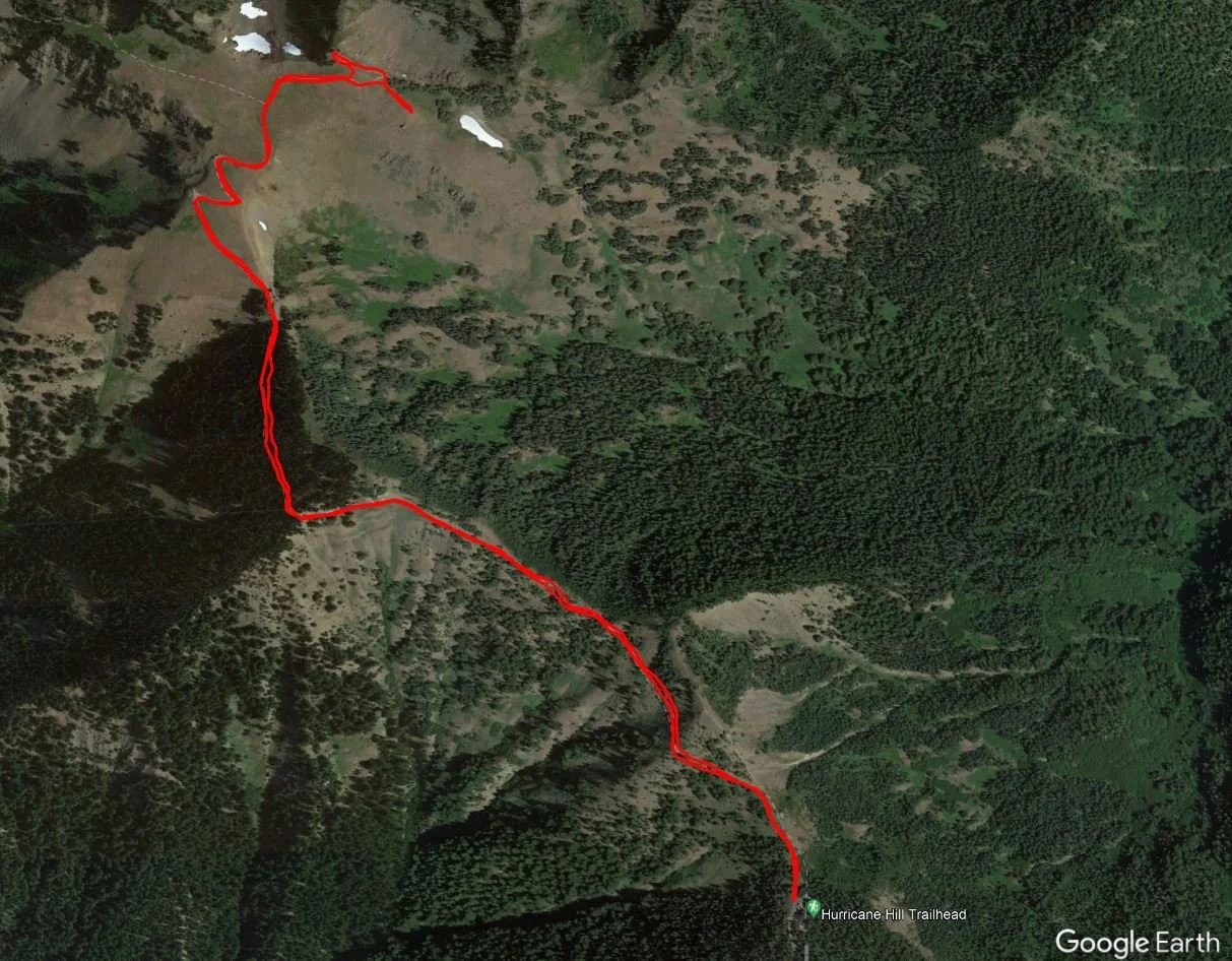 How to Visit Hurricane Ridge in Olympic National Park: The Complete ...