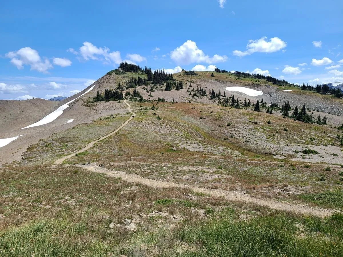 The Lillian Ridge Trail climbing a small hill through meadows