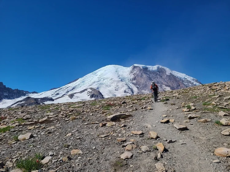 How to Hike the Burroughs Mountain Trail in Mount Rainier National Park ...