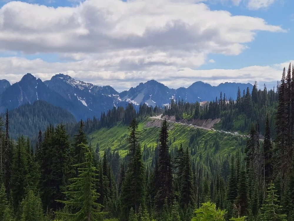How to Hike the Skyline Loop Trail in Mount Rainier National Park ...