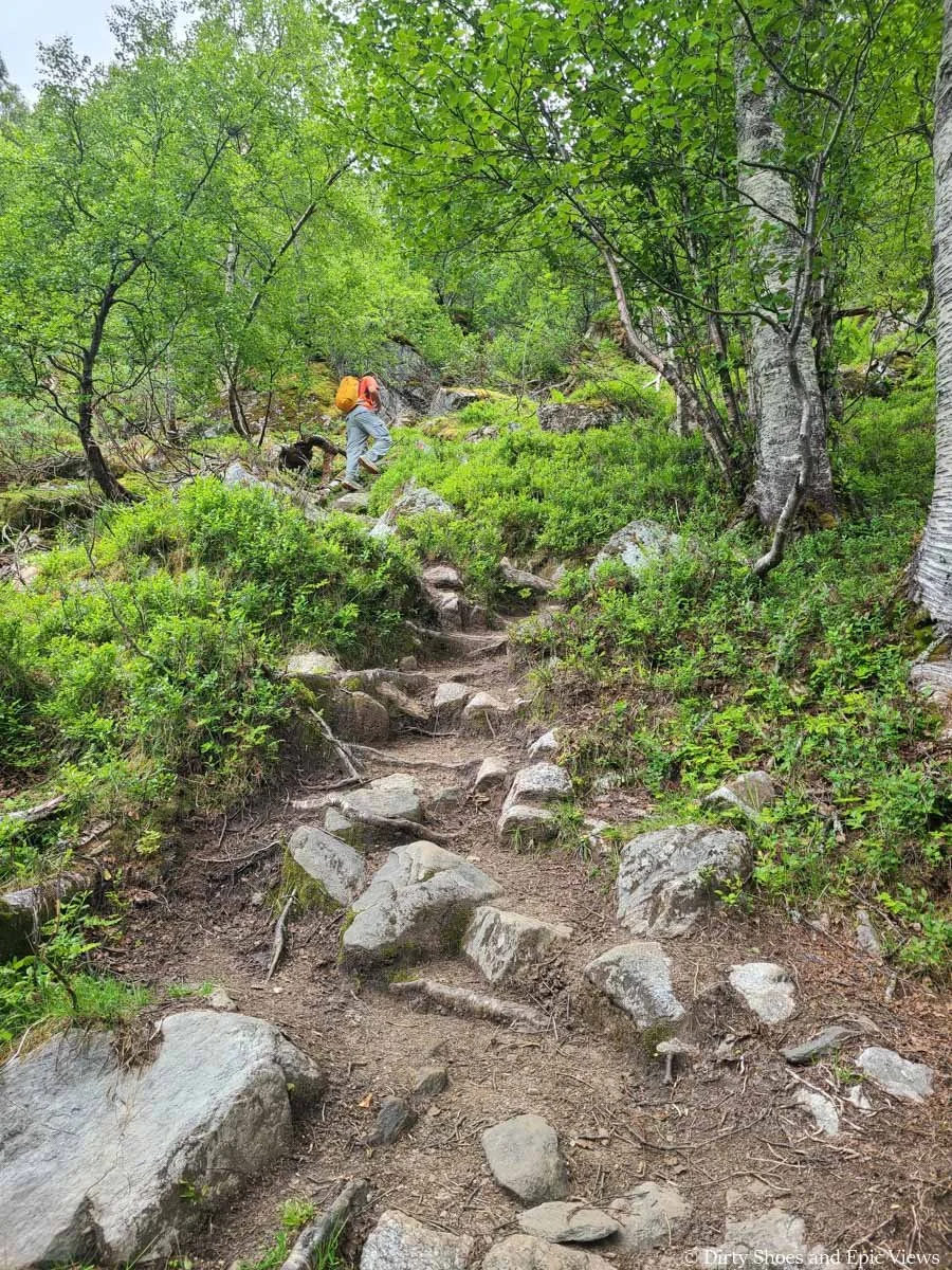 A hiker ascends a steep path through shrub along the Reinanuten trail in Norway