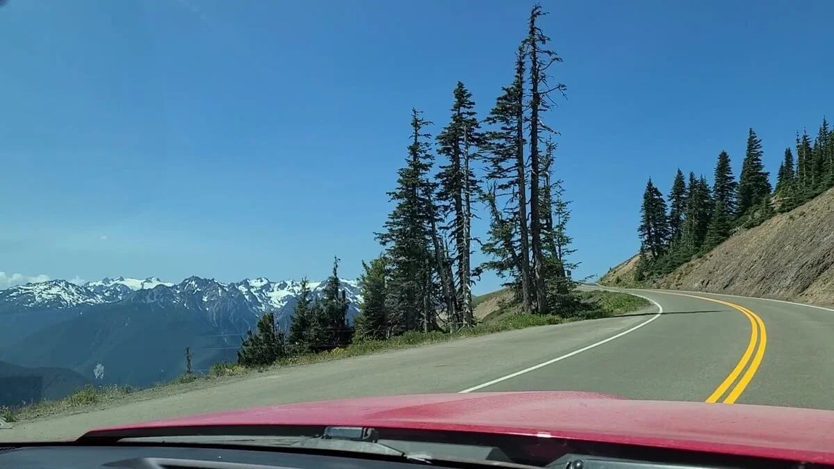 Hurrizan Ridge How to Visit Hurricane Ridge in Olympic National Park: The Complete ...