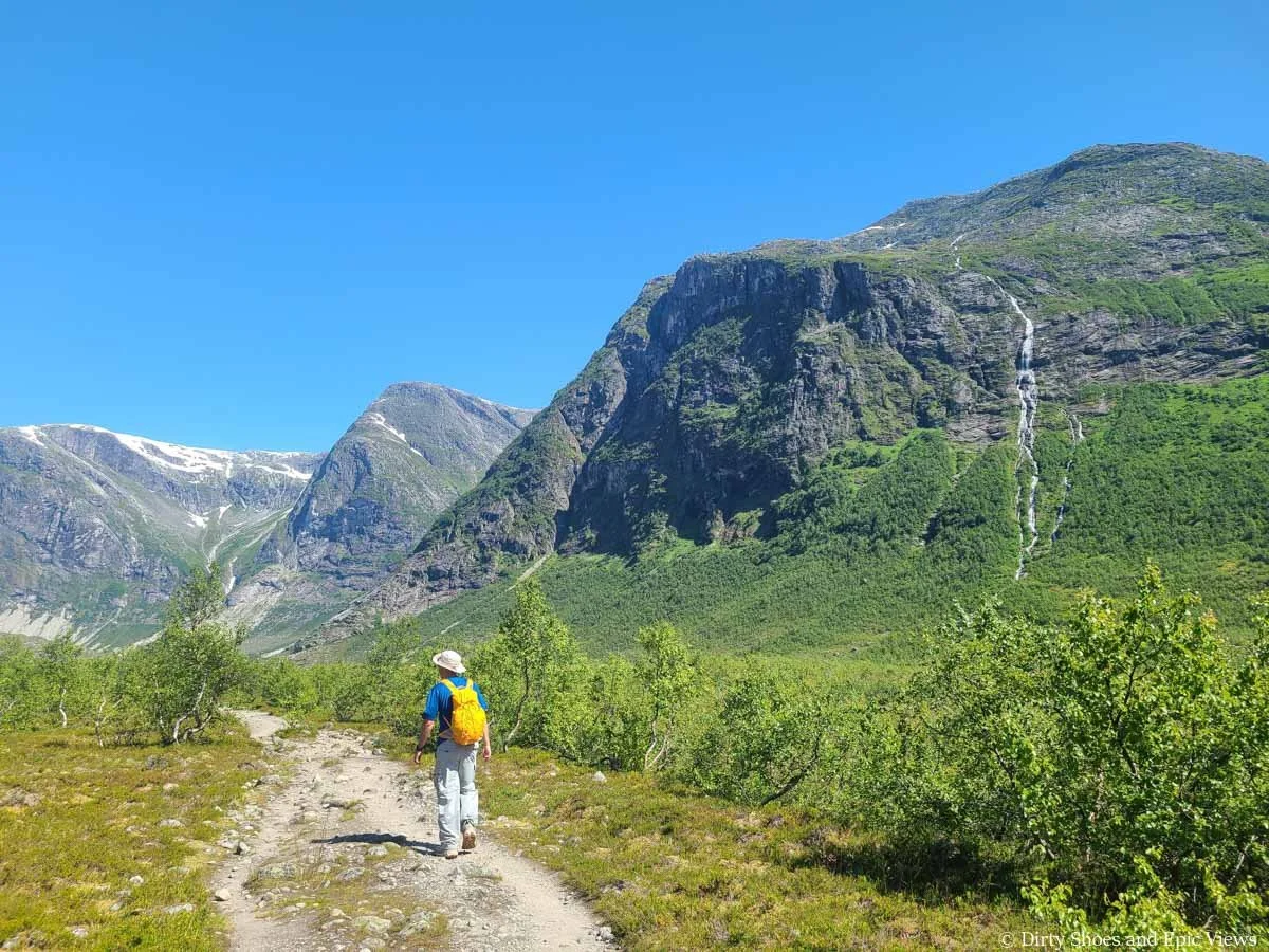 A hiker walks along a wide flat path through low shrub with mountain views on the Austerdalsbreen hike