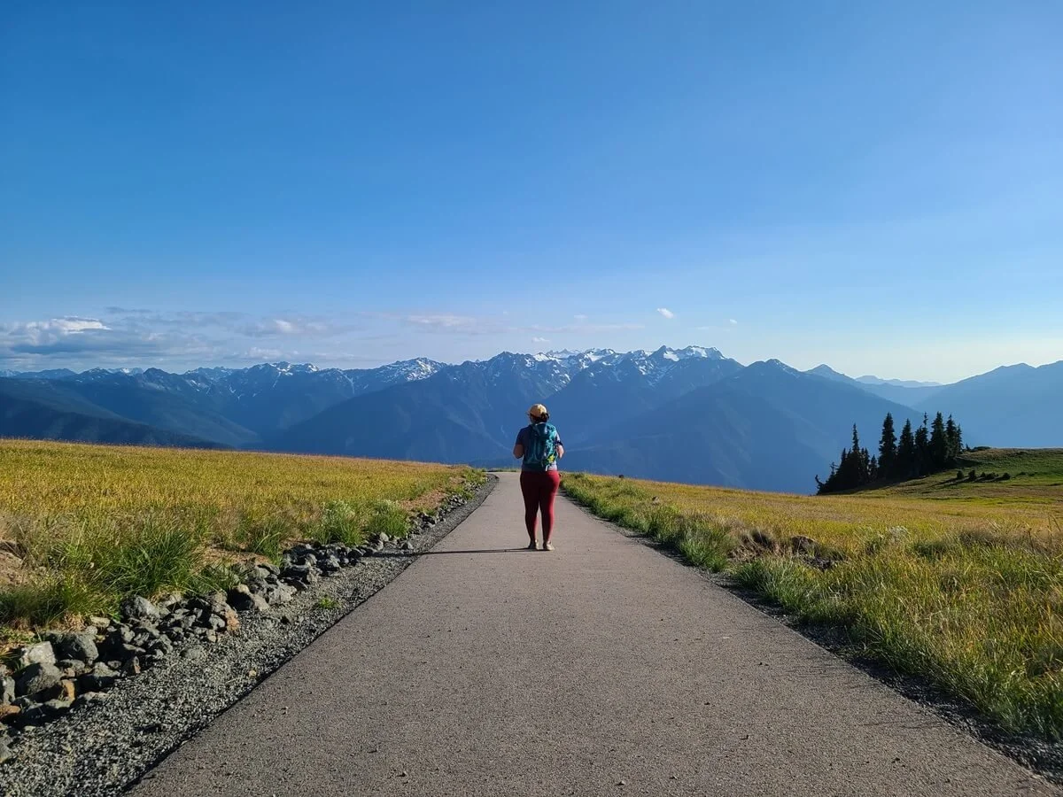 How to Visit Hurricane Ridge in Olympic National Park: The Complete ...