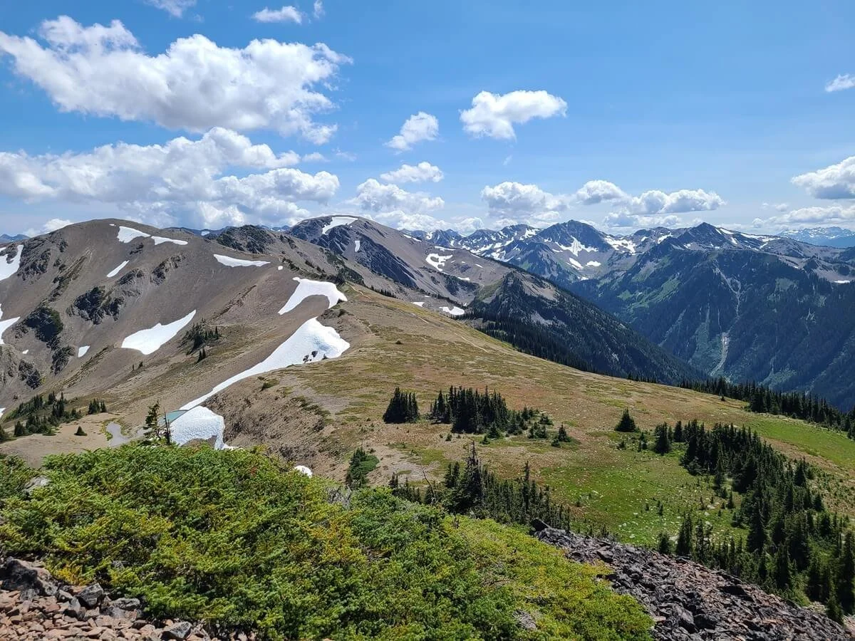 Mountain views from the Lillian Ridge Trail near Obstruction Point