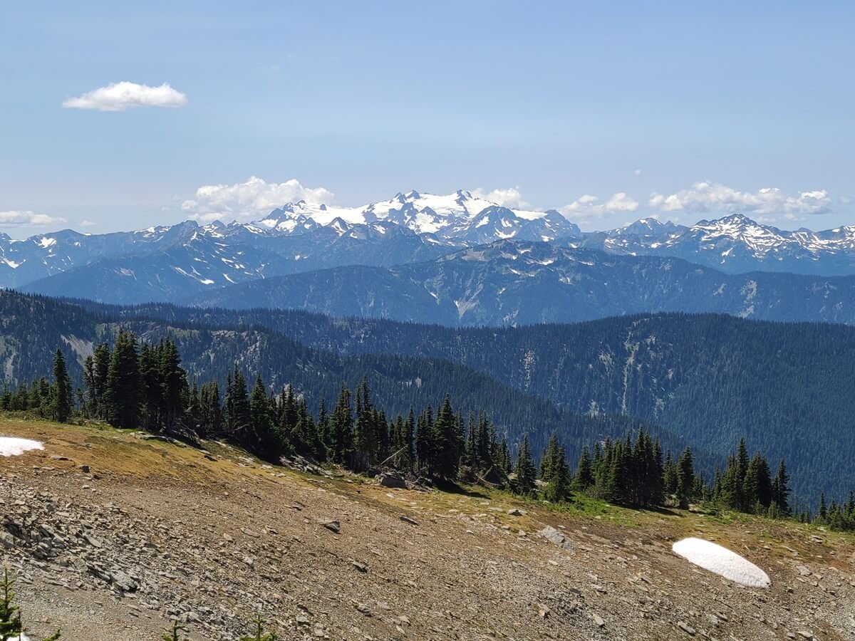 A view of Mount Olympus from Obstruction Point in Olympic National Park