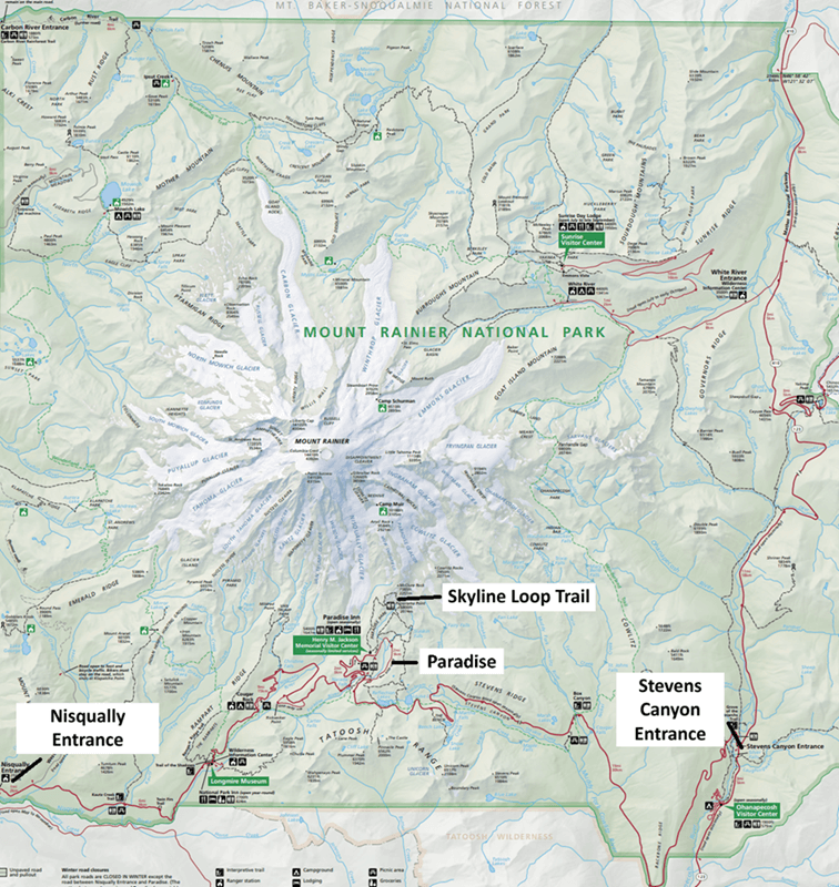Loop Mount Rainer How to Hike the Skyline Loop Trail in Mount Rainier National Park ...