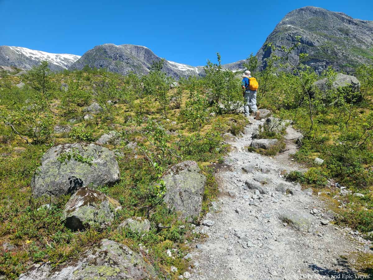 A hiker ascends a narrow gravel path through brush on the Austerdalsbreen hike